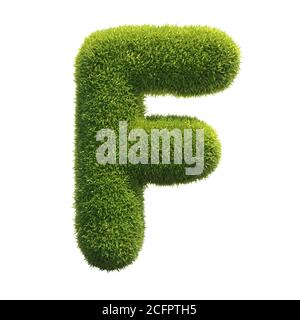 Grass Font 3d-Rendering Buchstabe F Stockfoto