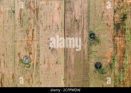 Grungy rote Holzwand mit grünen Flecken und Knoten, Hintergrund Foto Textur, Vorderansicht Stockfoto