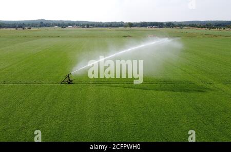 Ein Sprinkler bewässert eine Wiese auf einem heißen Trockenen Tag im Sommer auf dem Land in den Niederlanden Stockfoto