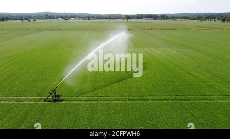 Ein Sprinkler bewässert eine Wiese auf einem heißen Trockenen Tag im Sommer auf dem Land in den Niederlanden Stockfoto