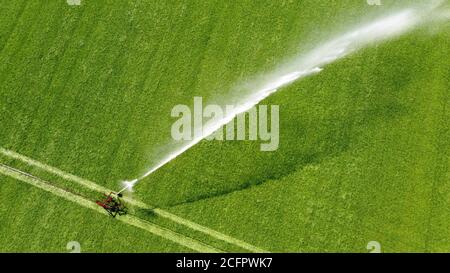 Ein Sprinkler bewässert eine Wiese auf einem heißen Trockenen Tag im Sommer auf dem Land in den Niederlanden Stockfoto