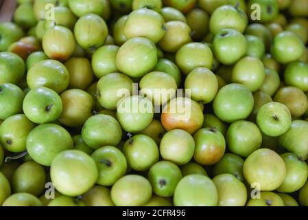 Affe Apfelfrucht / Grüne Jujubes auf Holzkiste in Der Fruchtmarkt Asian Stockfoto