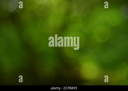 Nature Bokeh - Abstrakten Hintergrund. Stockfoto