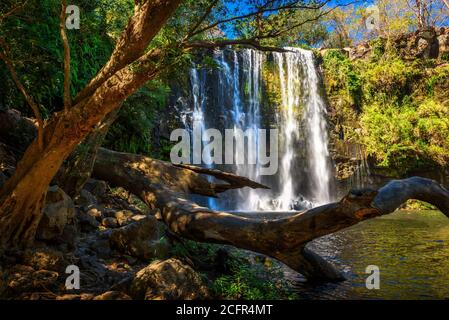 Llanos der Cortes Wasserfall in Costa Rica Stockfoto