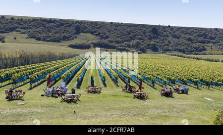 ALFRISTON, EAST SUSSEX/UK - 6. SEPTEMBER 2020: Menschen, die am 6. September in einem Weinberg in der Nähe von Alfriston in East Sussex ein Picknick genießen. Nicht identifizierte Personen Stockfoto