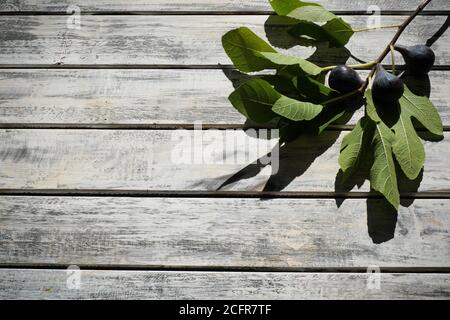 Reife Feigen schön arrangiert auf einem weißen schäbig chic Holztisch mit Feigenzweig, Platz für Texte, flach legen Stockfoto