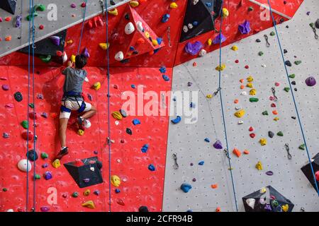 Lyon (zentral-Ost-Frankreich): Einkaufszentrum „Confluence“, Azium-Raum. Kletterer in der Kletterhalle "Climb up" mit dem höchsten Indoor-Kletterwal Stockfoto