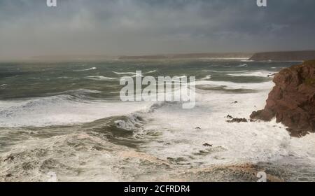 Sturm auf den Klippen in der Nähe von St. Ann's Head, Eingang zu Milford Haven, Pembrokeshire, Wales Stockfoto