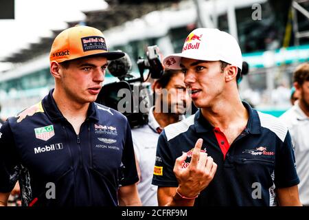 VERSTAPPEN Max (NED) Red Bull Tag Heuer RB13, GASLY Pierre (Fra) Toro Rosso Ferrari STR12 Team Toro Rosso, Ambiance Portrait während der Formel 1 FIA Weltmeisterschaft 2017, Malaysia Grand Prix, in Sepang vom 28. September bis 1. Oktober - Foto Florent Gooden / DPPI Credit: LM/DPPI/DPPI/Florent Gooden/Alamy Live News Stockfoto