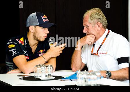 GASLY PIERRE Testfahrer Red Bull - MARKO helmut (aut) Red Bull Rennfahrer Manager Ambiance Portrait während der Formel 1 Weltmeisterschaft 2015, Brasilien Grand Prix vom 12. Bis 15. November 2015 in Sao Paulo, Brasilien. Foto Eric Vargiolu / DPPI. Kredit: LM/DPPI/DPPI/Eric Vargiolu/Alamy Live Nachrichten Stockfoto