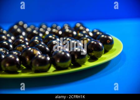 Jaboticaba Früchte (Myrciaria cauliflora) auf einem grünen Teller serviert. Blauer Hintergrund. Jabuticaba Bäume sind Bäume, die in fast allen Brazi gefunden werden können Stockfoto