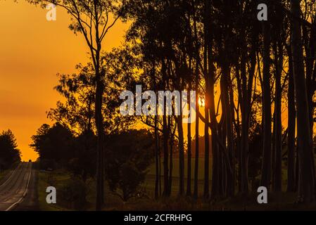 Sonnenuntergang Silhouette im südlichen Brasilien. Der Kontrast der Sonnenuntergangsfarben tritt auf, wenn die Strahlen die Atmosphäre mit größerer Reichweite erreichen. Langwellen-Kolo Stockfoto