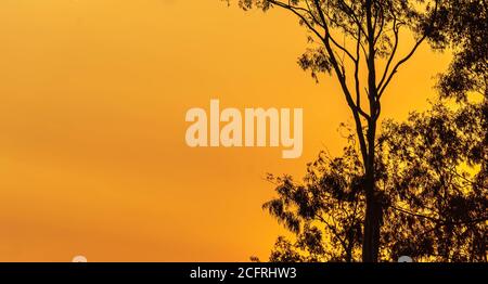 Sonnenuntergang Silhouette im südlichen Brasilien. Der Kontrast der Sonnenuntergangsfarben tritt auf, wenn die Strahlen die Atmosphäre mit größerer Reichweite erreichen. Langwellen-Kolo Stockfoto