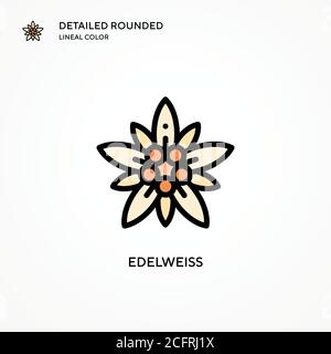 Edelweiss Vektorsymbol. Moderne Vektorgrafik Konzepte. Einfach zu bearbeiten und anzupassen. Stock Vektor