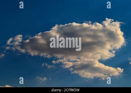 Weiße hinterleuchtete Kumuluswolke, die unter einem blauen Himmel schwimmt, der von einem sehr feinen Nebel bedeckt ist. Stockfoto