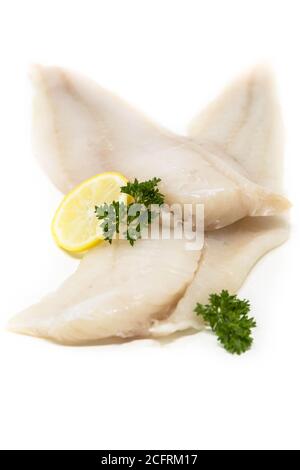 Ohne Knochen rohes Fischfilet isoliert auf weißem Hintergrund Stockfoto