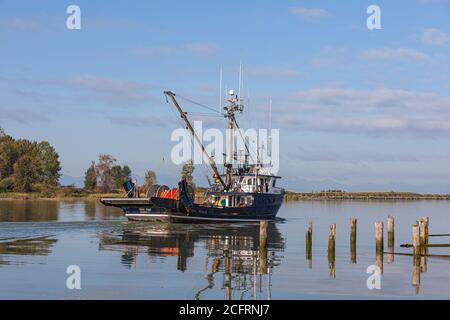 Kommerzielles Fischerboot auf dem Weg vom Steveston Hafen in Großbritannien Kolumbien Kanada Stockfoto