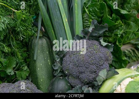 Nahaufnahme von frischem Gemüse, einschließlich Brokkoli, Gurke, Mangold, Zwiebel, zeigt Details Stockfoto