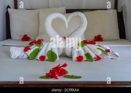 Weiß zwei Handtuch Schwäne und rote Blumen und grüne Blätter Auf dem Bett in einem Hotelzimmer Stockfoto
