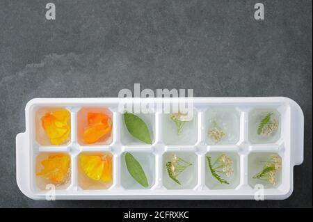 Blumeneis. Blumen und Kräuter in Eis Formen mit Wasser. Vorbereitung auf das Einfrieren. Stockfoto