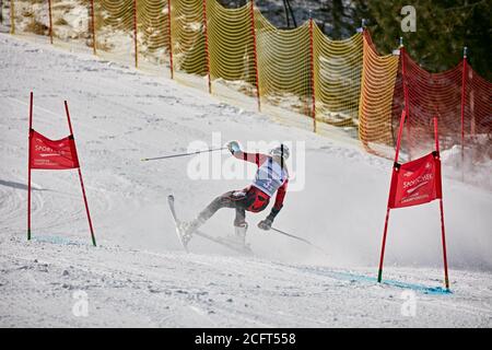 Craigleith Ski Club, Skirennen. Stockfoto