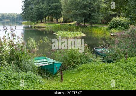 See Hintergrund mit Schilf im Wind, Seerosen Pflanze, grüne Natur, hölzerne Pier und Boote Stockfoto