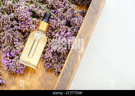 Lavendel Serum, ätherisches Öl in Glas Tropfflasche auf frischen Lavendelblüten. Lavendel Kosmetik. Beauty-Produkte im Spa. Flach legen Apothekenkräuter Stockfoto
