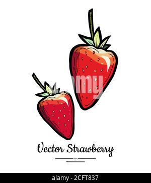 Erdbeervektor isoliert. Rote Beeren handgezeichnete Illustration. Trendy Essen vegetarische Menü Obst Symbol ganze Erdbeere Stock Vektor