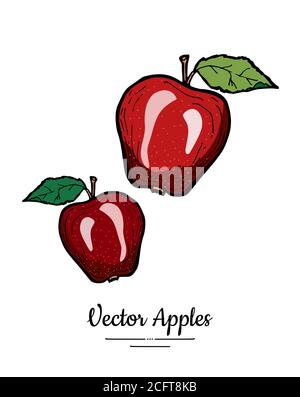 Äpfel Vektor isoliert. Rote Früchte handgezeichnete Illustration. Trendige Speisekarte Obst-Logo-Symbol. Ganze Äpfel grüne Blätter Stock Vektor