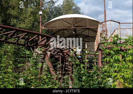 Berlin, Deutschland. September 2020. Die heruntergekommene Achterbahn 'Spreeblitz' im Spreepark im Plänterwald. Das Land Berlin hat 2014 den Pachtpachtplatz für den Spreepark zurückgekauft und will dort den verwaisten Spreepark wieder beleben. (Zu 'magischer Ort' - erster Probebetrieb im Berliner Spreepark') Quelle: Fabian Sommer/dpa/Alamy Live News Stockfoto