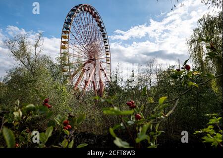 Berlin, Deutschland. September 2020. Das Riesenrad im Spreepark in Plänterwald. Das Land Berlin hat 2014 den Pachtpachtplatz für den Spreepark zurückgekauft und will dort den verwaisten Spreepark wieder beleben.Quelle: Fabian Sommer/dpa/Alamy Live News Stockfoto