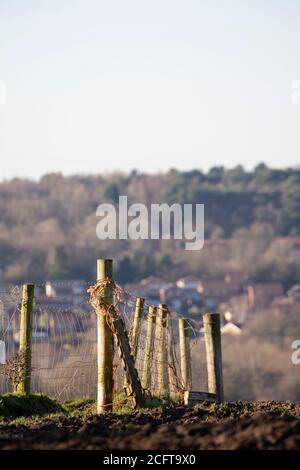 Drahtzaun in einem Bauernfeld Stockfoto