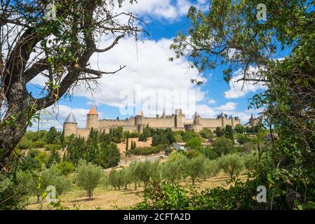 Weinberge außerhalb der mittelalterlichen Festungsstadt Carcassonne in Frankreich Stockfoto