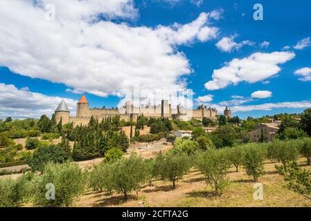 Weinberge außerhalb der mittelalterlichen Festungsstadt Carcassonne in Frankreich Stockfoto