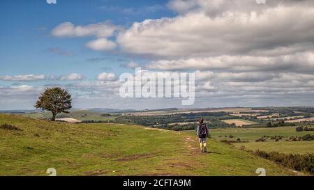 Walker am Cissbury Ring Stockfoto