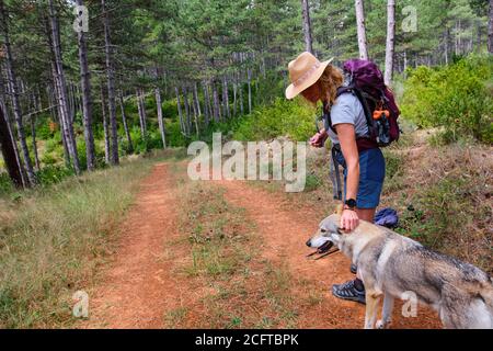 Wanderer reife junge Frau mit einem Hut und einem Hund in einem Pfad. Stockfoto