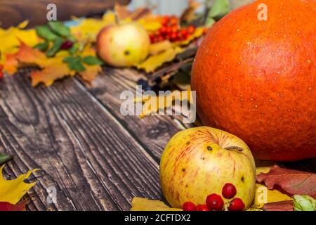 Herbstzusammensetzung aus Äpfeln, Blättern, Kürbissen auf dunkelbraunem Holzhintergrund. Layout für Design. Stockfoto