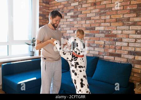 Schöner kaukasischer bärtiger Mann spielen mit Hund zu Hause, verspielte dalmatinische Haustier Hund liebt seinen Besitzer, Spaß im Wohnzimmer haben Stockfoto