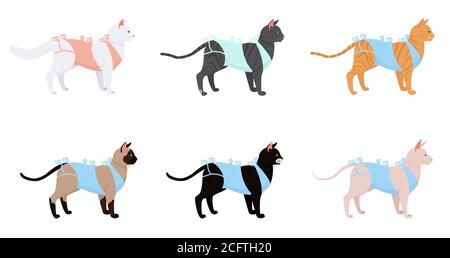 Katze im Verband nach der Operation Set. Cartoon Katzen verschiedenen Rassen nach Kastration isoliert auf weiß Stock Vektor