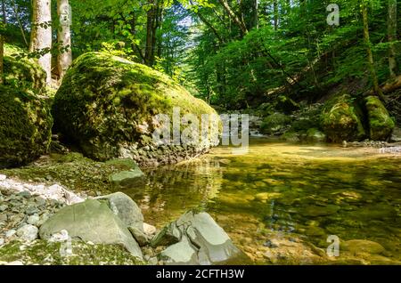 Großer Felsen, bewachsen mit grünem Moos, neben einem ruhigen Bach in einem sonnigen Wald. Großer Stein am Rande eines Bachbettes in einem Laubwald. Stockfoto