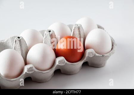 Weiße und braune Hühnereier in einem Karton auf hellem Hintergrund. Ein braunes Hühnereier in einer Schachtel mit weißen Eiern. Symbol der Einsamkeit Stockfoto