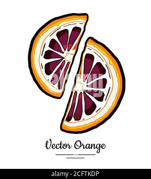 Orangen rot Vektor isoliert. Rot orange geschnitten gehackte halbrunde Scheiben. Obst von Hand gezeichnet. Süßes vegetarisches Zitruslogo Stock Vektor