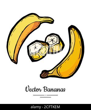 Bananen setzen Vektor isoliert. Ganze geschälte gehackte Banane Scheibe Bündel Gelbe süße Frucht Sammlung Hand gezeichnet vegetarisch Stock Vektor
