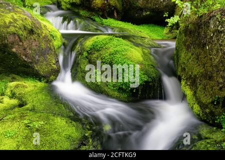 Detail von schönen Wasserfällen zwischen grünen moosigen Felsen, aufgenommen in einem Fluss in Charlevoix, Quebec Stockfoto