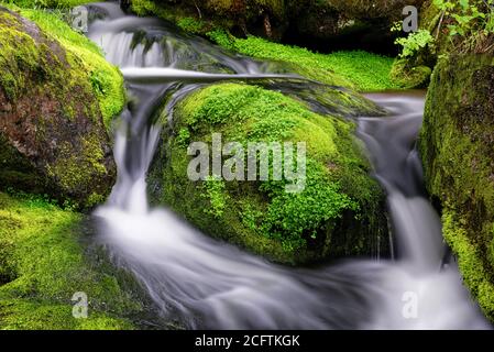 Detail von schönen Wasserfällen zwischen grünen moosigen Felsen, aufgenommen in einem Fluss in Charlevoix, Quebec Stockfoto