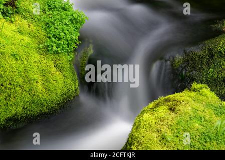 Detail von schönen Wasserfällen zwischen grünen moosigen Felsen, aufgenommen in einem Fluss in Charlevoix, Quebec Stockfoto
