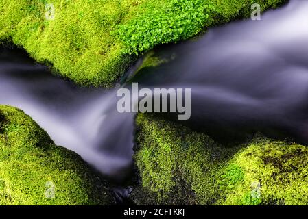 Detail von schönen Wasserfällen zwischen grünen moosigen Felsen, aufgenommen in einem Fluss in Charlevoix, Quebec Stockfoto