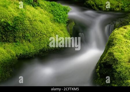 Detail von schönen Wasserfällen zwischen grünen moosigen Felsen, aufgenommen in einem Fluss in Charlevoix, Quebec Stockfoto