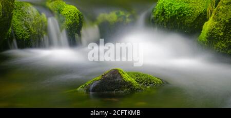 Detail von schönen Wasserfällen zwischen grünen moosigen Felsen, aufgenommen in einem Fluss in Charlevoix, Quebec Stockfoto