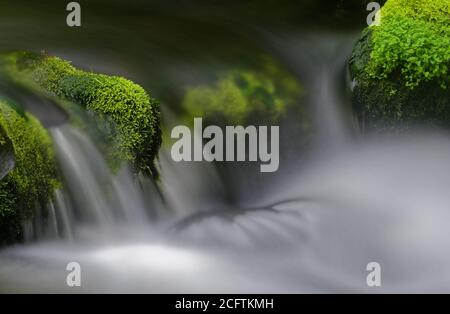 Detail von schönen Wasserfällen zwischen grünen moosigen Felsen, aufgenommen in einem Fluss in Charlevoix, Quebec Stockfoto